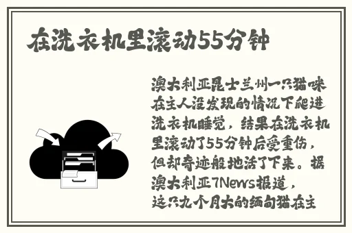 70岁老人森林交易10元